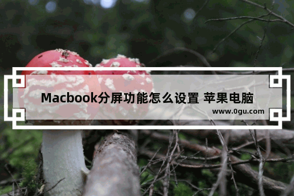 Macbook分屏功能怎么设置 苹果电脑怎么分屏