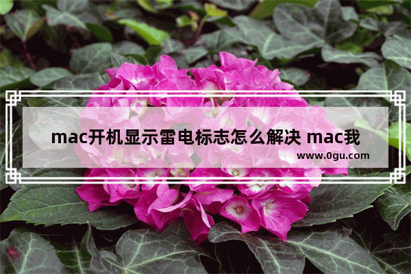 mac开机显示雷电标志怎么解决 mac我的电脑