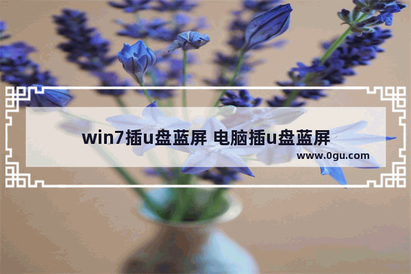 win7插u盘蓝屏 电脑插u盘蓝屏