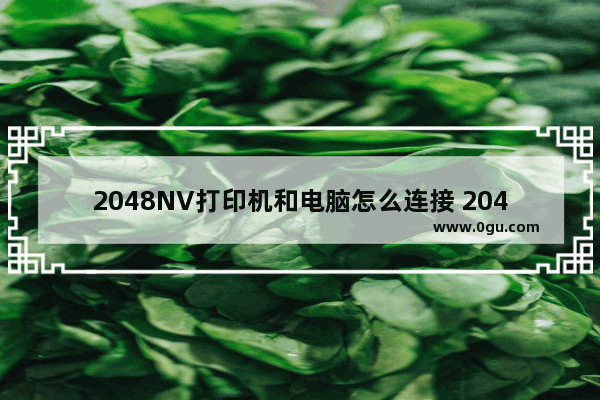 2048NV打印机和电脑怎么连接 2048电脑