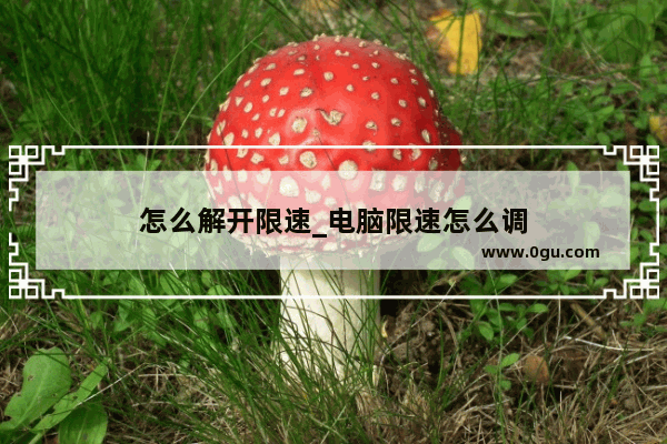 怎么解开限速_电脑限速怎么调