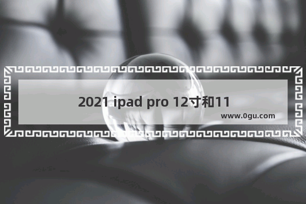 2021 ipad pro 12寸和11寸区别 苹果电脑12寸