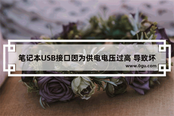 笔记本USB接口因为供电电压过高 导致坏掉了 维修估计多少钱_拼多多上十几元的优盘靠谱吗