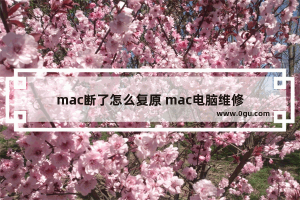 mac断了怎么复原 mac电脑维修