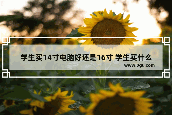 学生买14寸电脑好还是16寸 学生买什么电脑好