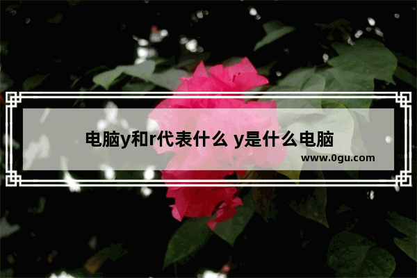 电脑y和r代表什么 y是什么电脑