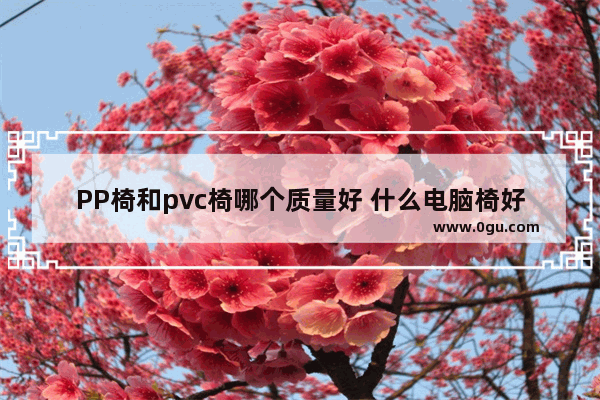 PP椅和pvc椅哪个质量好 什么电脑椅好