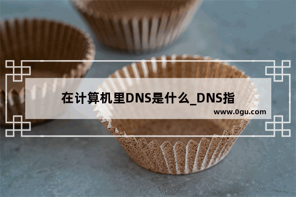 在计算机里DNS是什么_DNS指