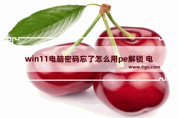 win11电脑密码忘了怎么用pe解锁 电脑密码忘了怎么解锁