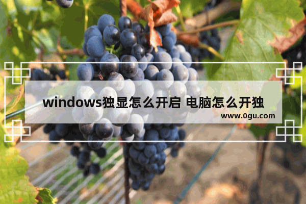 windows独显怎么开启 电脑怎么开独显