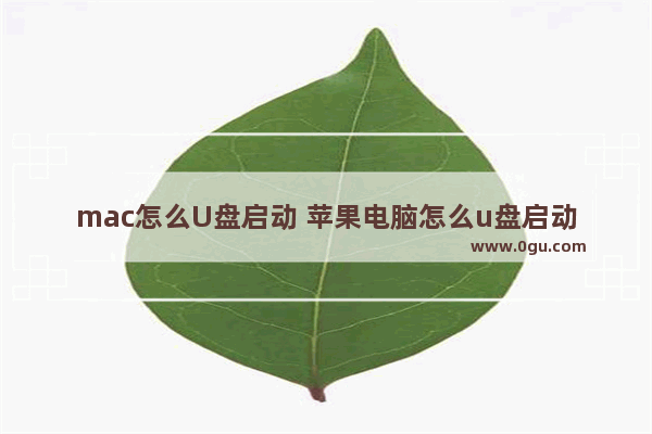 mac怎么U盘启动 苹果电脑怎么u盘启动