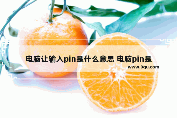 电脑让输入pin是什么意思 电脑pin是什么意思