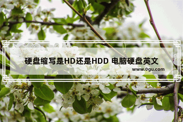 硬盘缩写是HD还是HDD 电脑硬盘英文