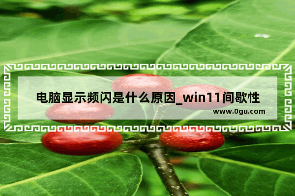 电脑显示频闪是什么原因_win11间歇性闪屏解决方法