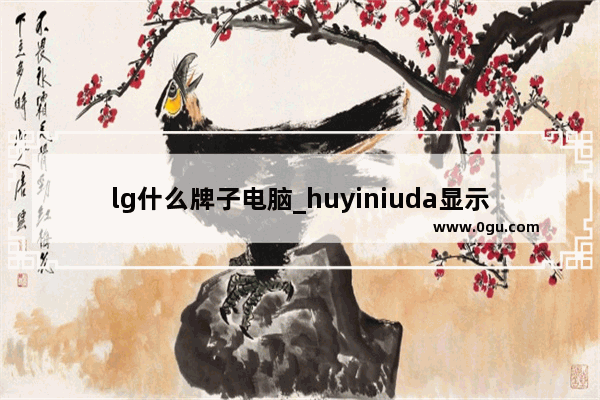 lg什么牌子电脑_huyiniuda显示器到底是哪里产的 怎么样