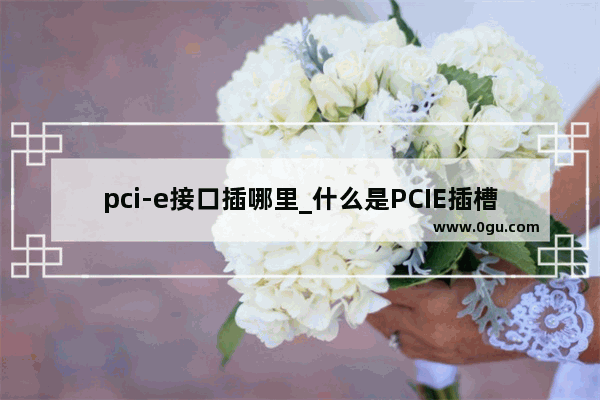 pci-e接口插哪里_什么是PCIE插槽