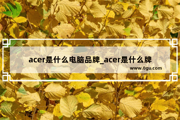 acer是什么电脑品牌_acer是什么牌子的电脑