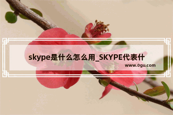 skype是什么怎么用_SKYPE代表什么意思