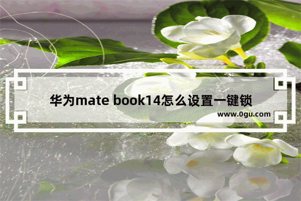 华为mate book14怎么设置一键锁屏 电脑待机快捷键