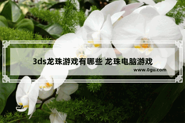 3ds龙珠游戏有哪些 龙珠电脑游戏