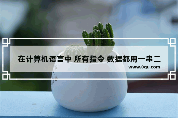 在计算机语言中 所有指令 数据都用一串二进制0和1表示 这种语言称为什么 电脑编码是什么