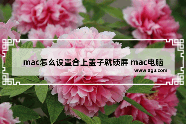 mac怎么设置合上盖子就锁屏 mac电脑锁屏