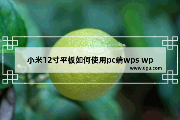 小米12寸平板如何使用pc端wps wps平板电脑版