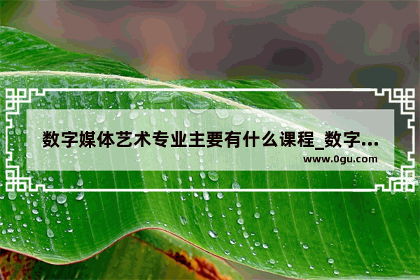 数字媒体艺术专业主要有什么课程_数字媒体艺术与数字媒体技术有什么区别