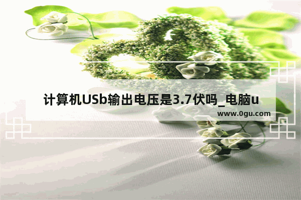 计算机USb输出电压是3.7伏吗_电脑u++接口输出电压多少