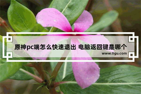 原神pc端怎么快速退出 电脑返回键是哪个