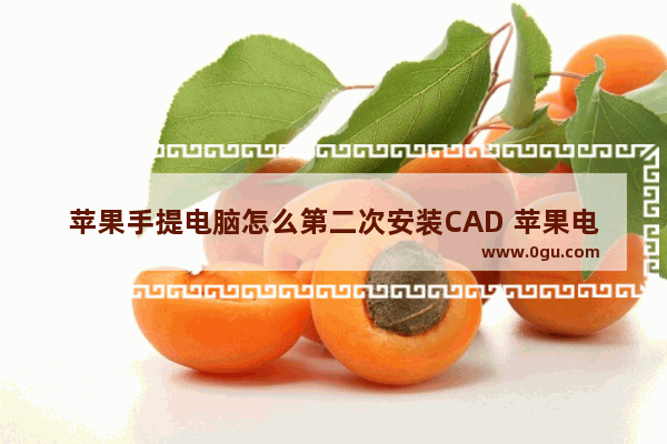 苹果手提电脑怎么第二次安装CAD 苹果电脑装cad