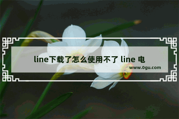 line下载了怎么使用不了 line 电脑版