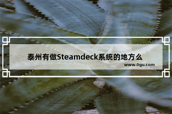 泰州有做Steamdeck系统的地方么 泰州电脑维修