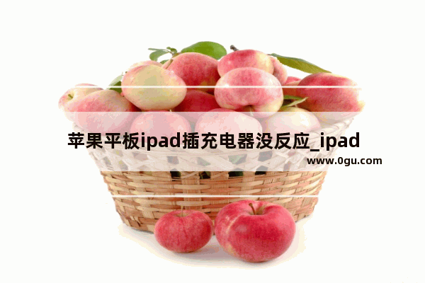 苹果平板ipad插充电器没反应_ipad开热点电脑显示无法连接