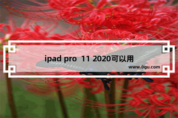 ipad pro  11 2020可以用成电脑 平板电脑能当电脑用吗