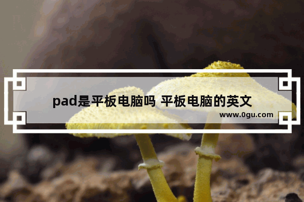 pad是平板电脑吗 平板电脑的英文