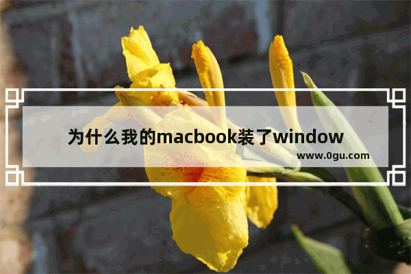 为什么我的macbook装了windows系统后原来的苹果系统就没有了_计算机二级windows10的系统可以用吗