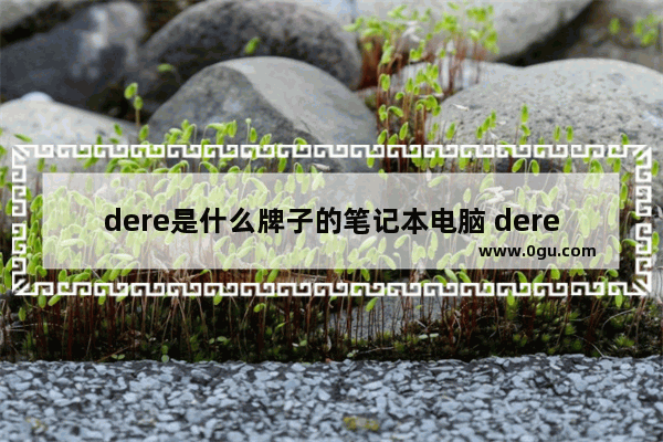 dere是什么牌子的笔记本电脑 dere电脑