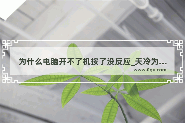 为什么电脑开不了机按了没反应_天冷为什么电脑开不了机