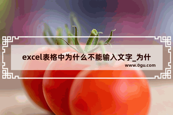 excel表格中为什么不能输入文字_为什么我输入代码以后我的界面没有反应啊