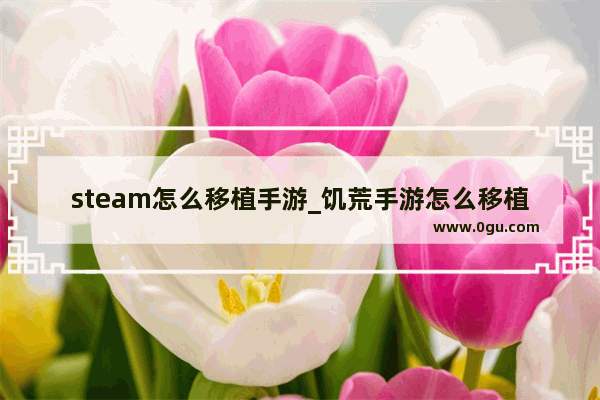 steam怎么移植手游_饥荒手游怎么移植数据