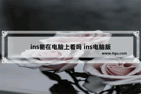 ins能在电脑上看吗 ins电脑版