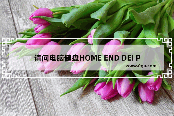 请问电脑健盘HOME END DEI PAGELOCK SCUSEBREAK 各用什么作用 电脑的home键