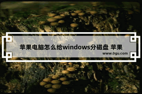 苹果电脑怎么给windows分磁盘 苹果电脑硬盘分区