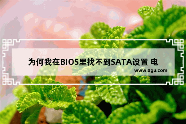 为何我在BIOS里找不到SATA设置 电脑的设置在哪里找