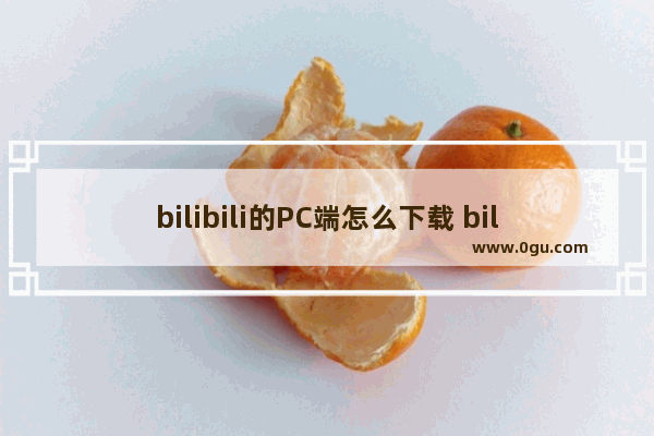 bilibili的PC端怎么下载 bilibili电脑端