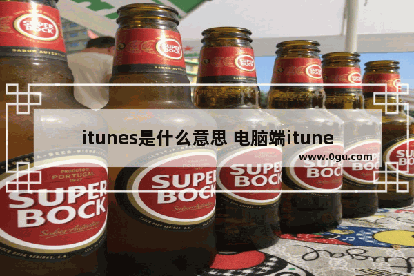 itunes是什么意思 电脑端itunes