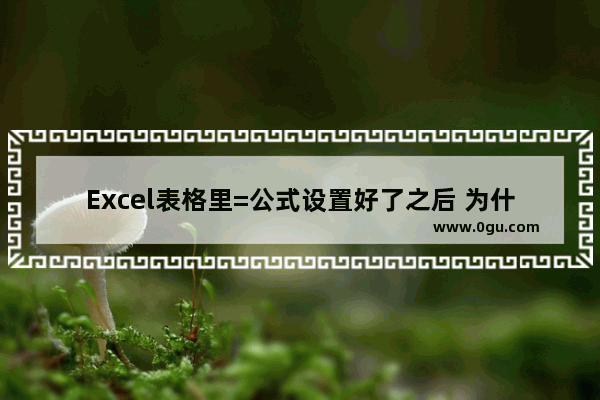 Excel表格里=公式设置好了之后 为什么输入数字之后的不变 电脑输不了数字