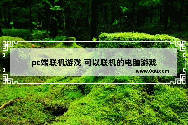 pc端联机游戏 可以联机的电脑游戏