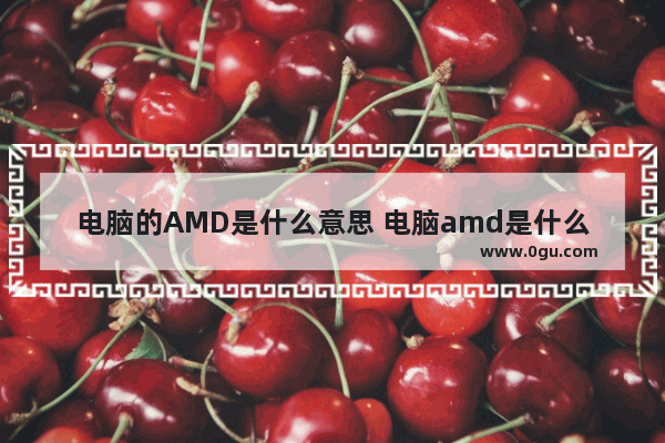 电脑的AMD是什么意思 电脑amd是什么